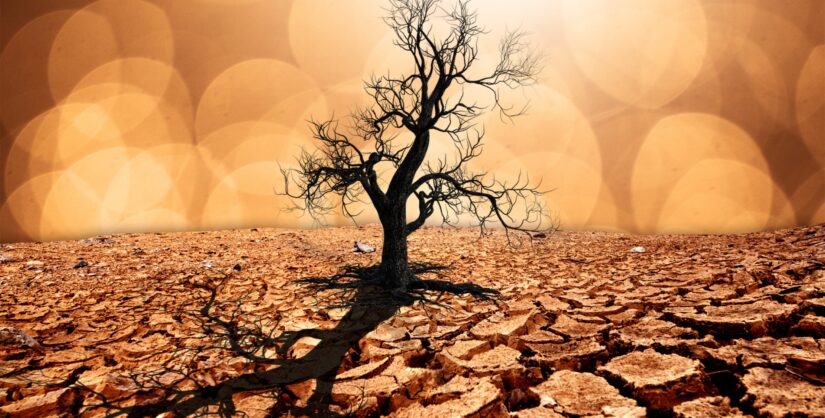 Blog - Wells On Wheels